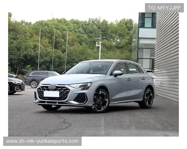 16.59万起售，升级1.5T能加92号油，新款奥迪A3上市