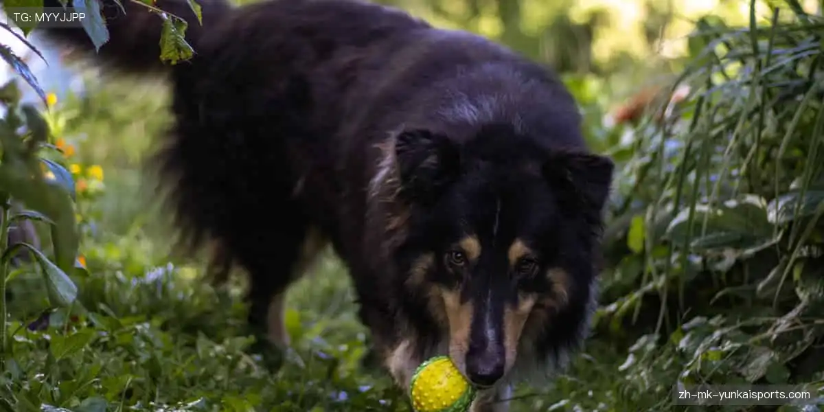 ⚽️ 点燃激情，见证赛事高光时刻！